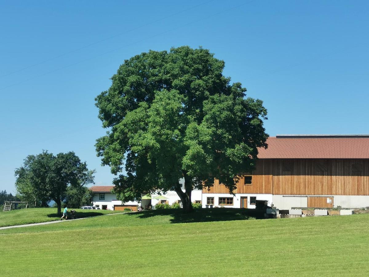 Biobauernhof Und Ferienhaus Riederbauer Rettenschoss Exterior photo